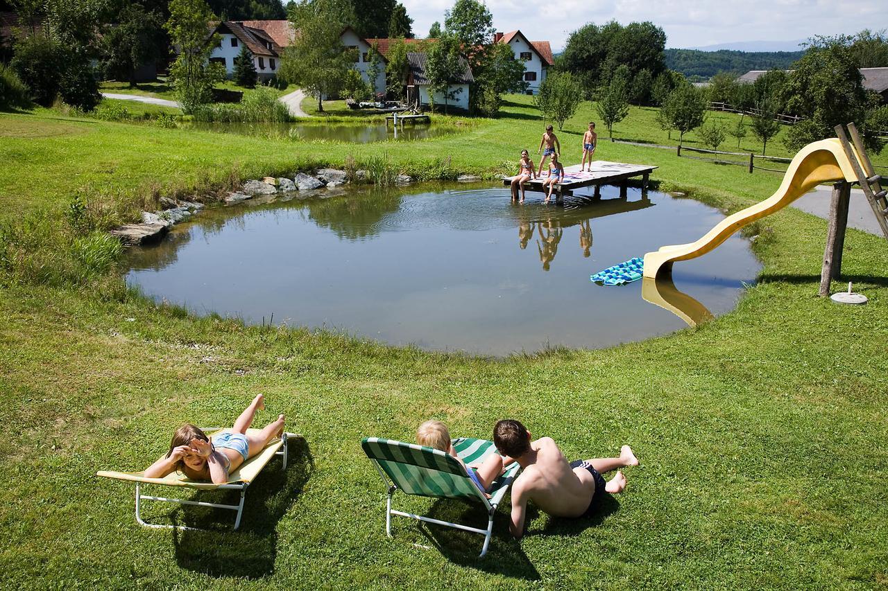 Villa Winzerhof Strablegg à Großklein Extérieur photo