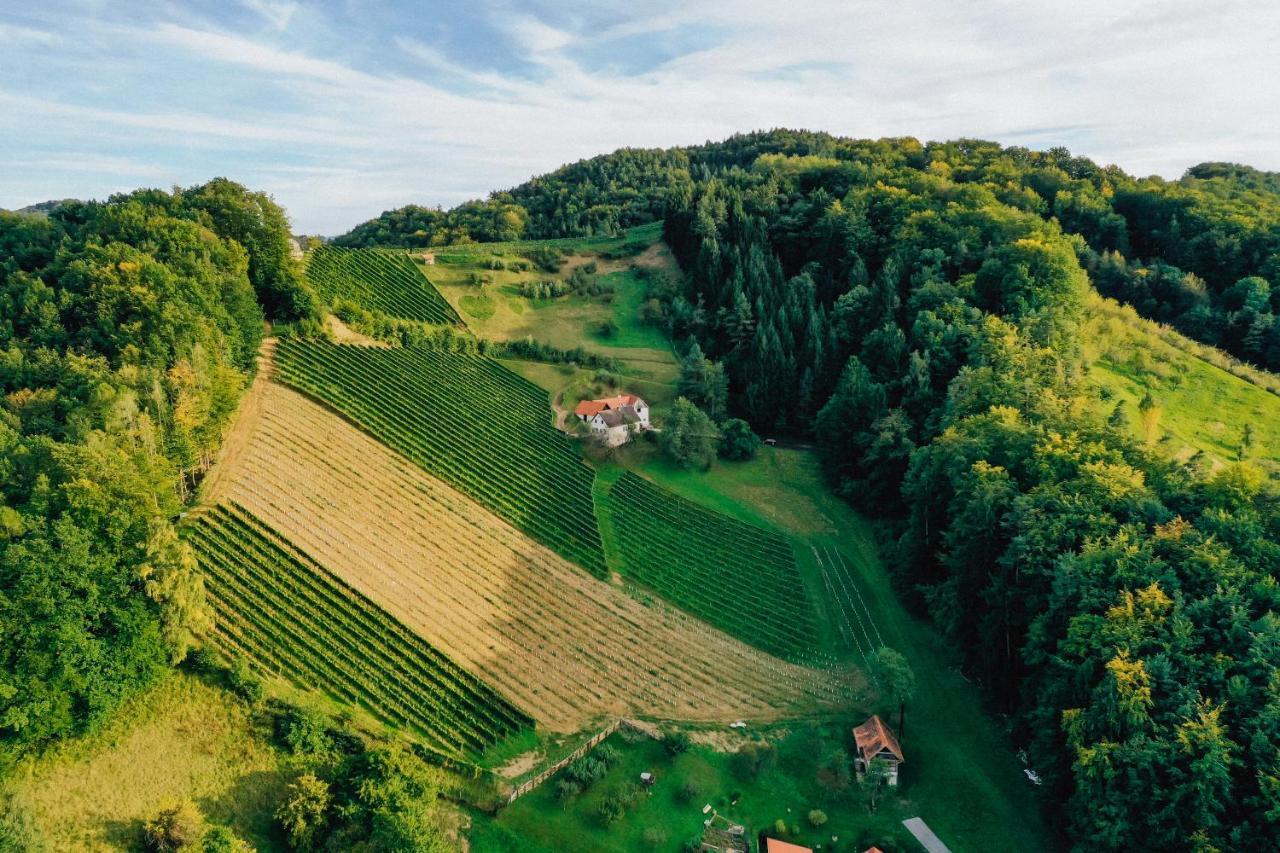 Villa Winzerhof Strablegg à Großklein Extérieur photo
