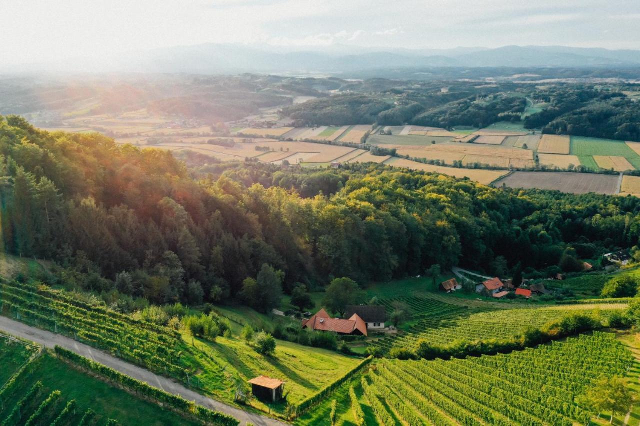 Villa Winzerhof Strablegg à Großklein Extérieur photo
